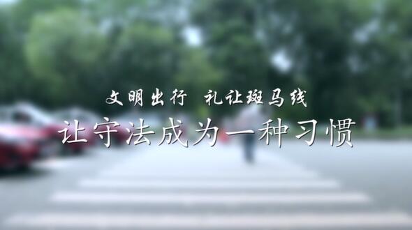 普法公益視頻 禮讓斑馬線篇